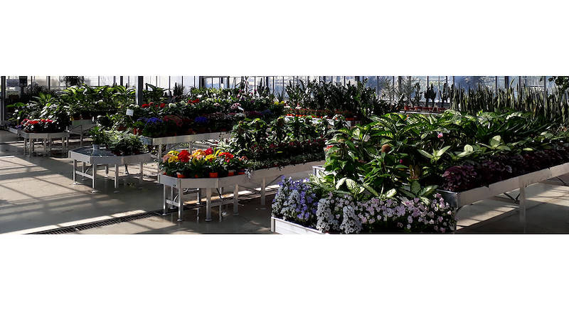 Столы для экспозиции растений и цветов