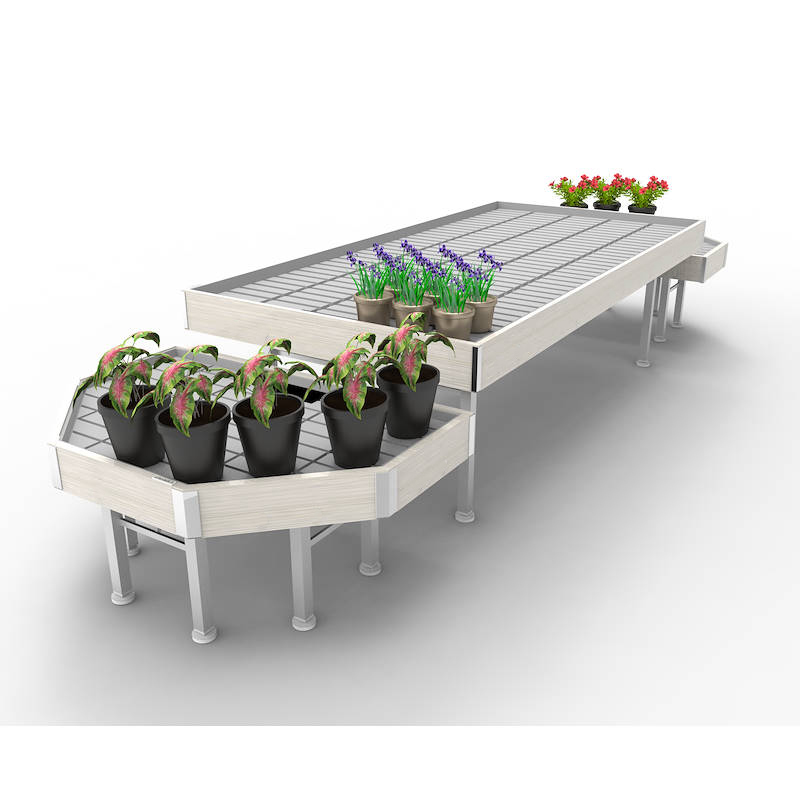 Promotion Set wood line AMOR, Exhibition Set: width 1260 mm, Color: White wood, Box: 1 Set