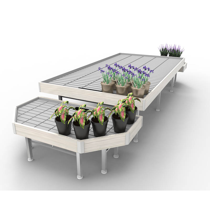 Promotion Set wood line AMOR, Exhibition Set: width 1660 mm, Color: White wood, Box: 1 Set