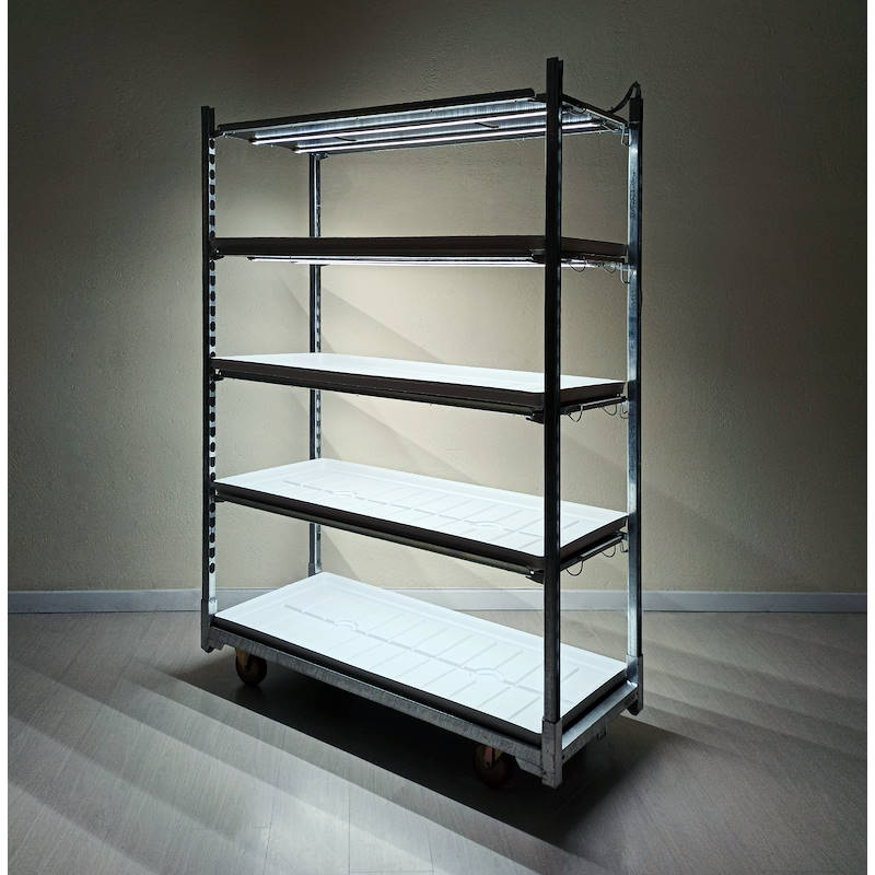 DC trolley with led lights kit for GERMINATION AND GRAFTING, Optional: With DC water trays, Box: 1 DC cart, Shelf: 4 shelves with lights