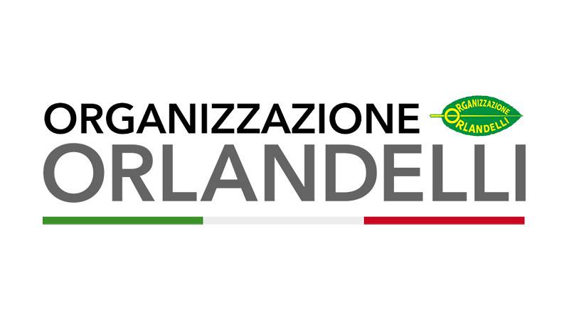 Organizzazione Orlandelli Srl