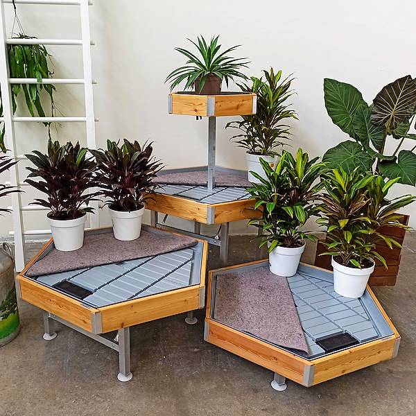 Шестигранный стол деревянная линия AMOR, Exhibition Set: Set 3 PIECES + RAISED BENCH, Color: натуральное дерево, Box: Один