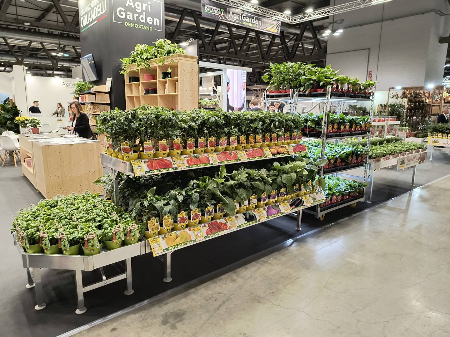 Vegetable and Herb Garden Set