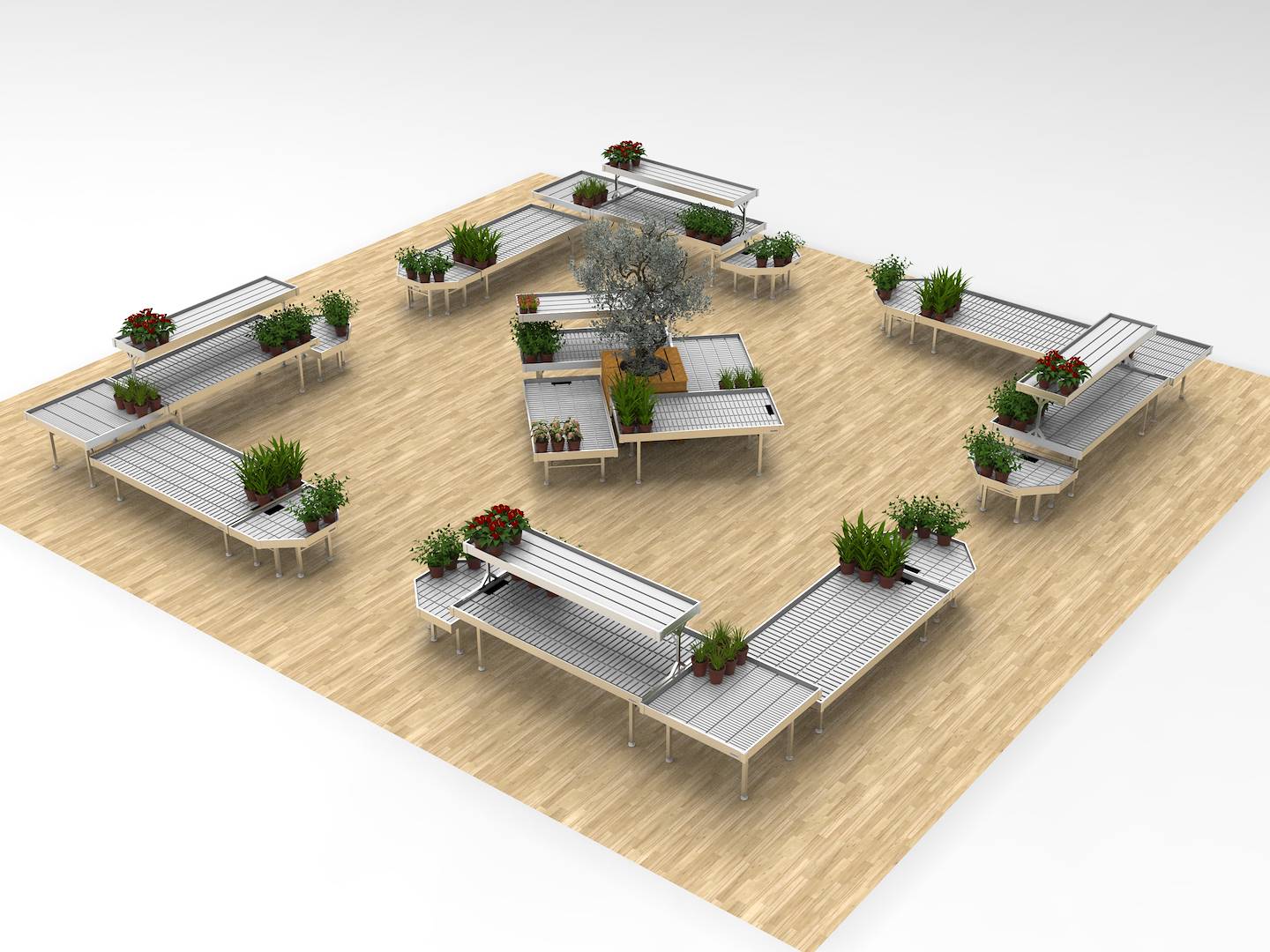 Format SEASONAL PLANTS, Exhibition Set: Set AMBIENCE