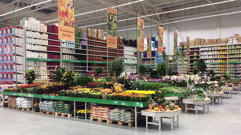 В Бауцентре открылся новый отдел цветов и растений