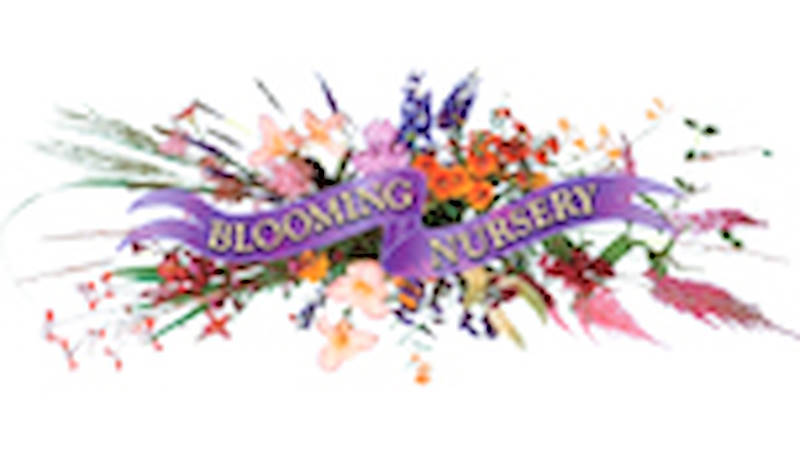 Blooming Nursery, Oregon – USA