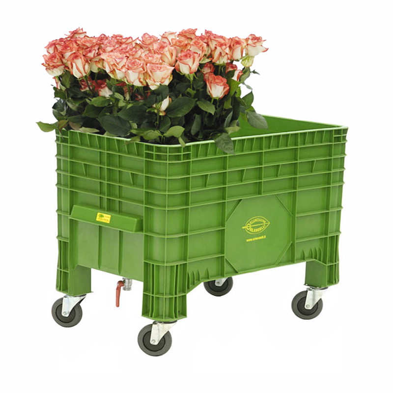 Container for cut flowers, Liters: 300 Lt, Box: 12 units