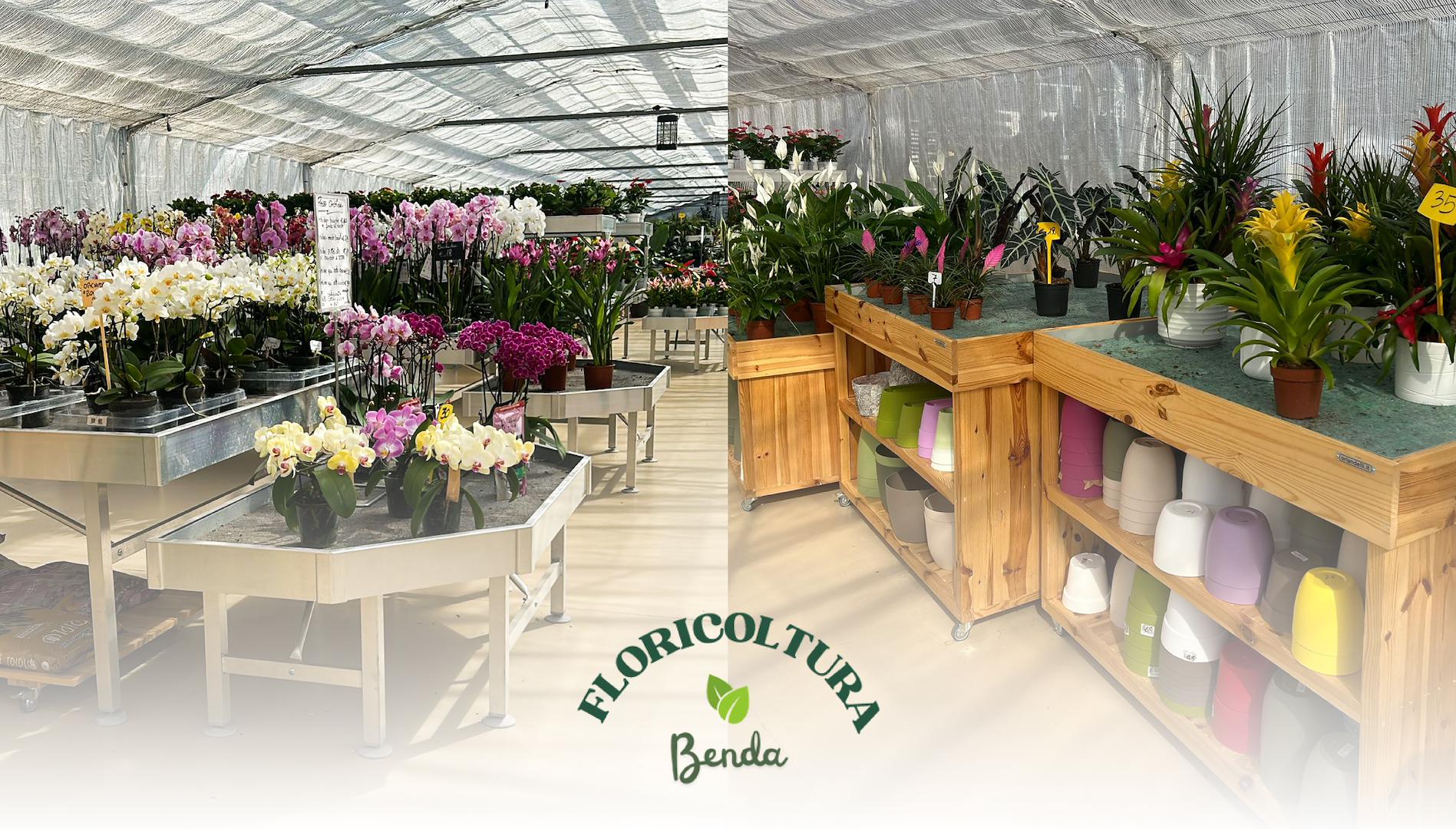 От питомника к садовому центру: рестайлинг Floricoltura Benda