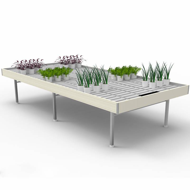 Bench, wood line AMOR, Size: 1660 mm x 3060 mm, Height: h 750 mm, Color: White wood, Box: 3 units