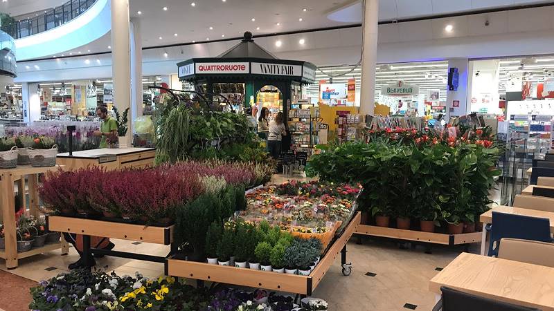 Организация Orlandelli: эстетическая ценность экспонентов в торговых точках