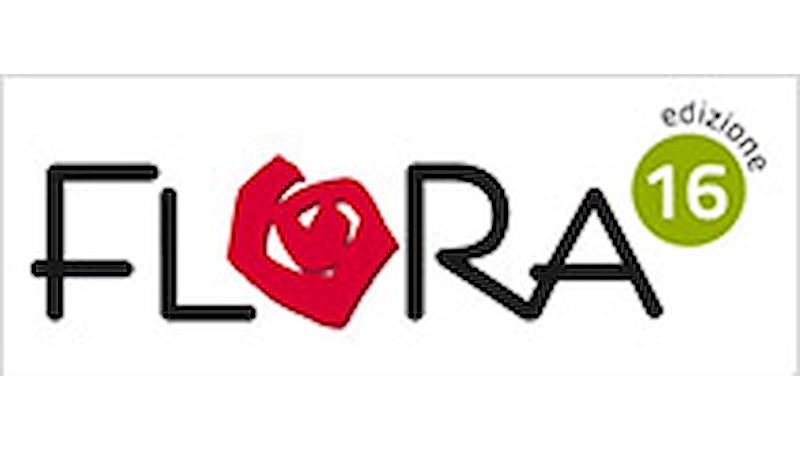 FLORA The new spring flowers