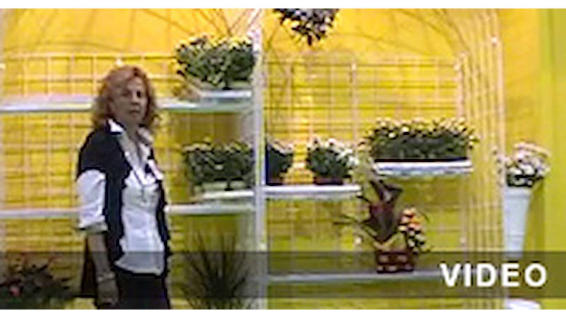 Garden center forniture