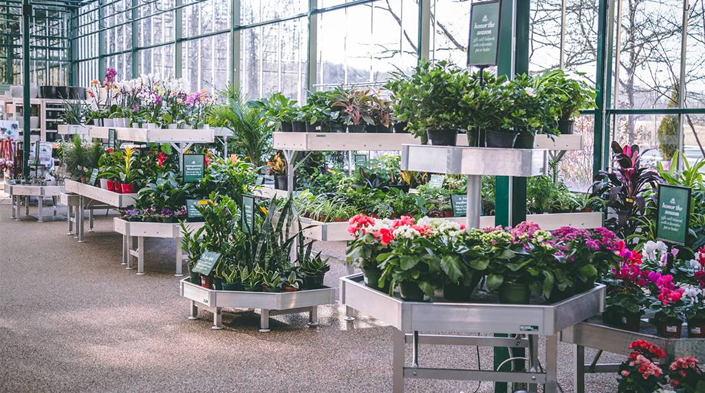 Petitti supports eco-friendly products and practices