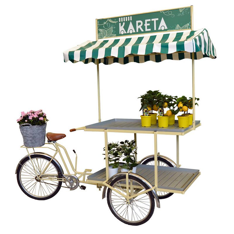 Дисплей KARETA