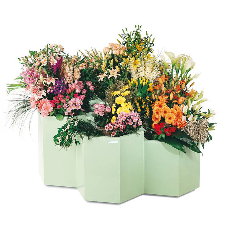 Refrigerator displayers, Exhibition Set: Set 2 PIECES - LEONARDO, Optional: Standard