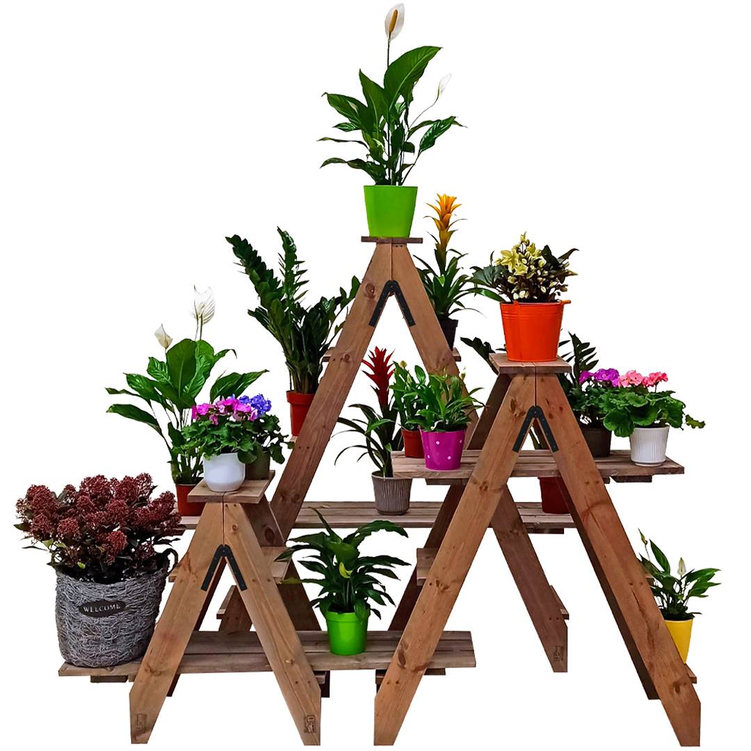 Ladders for plants and flowers, Color: Natural Wood, Box: 3 Sets