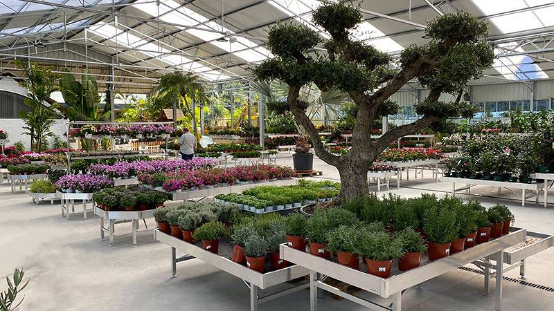 Viveros del Valle обновляет выставку растений и цветов