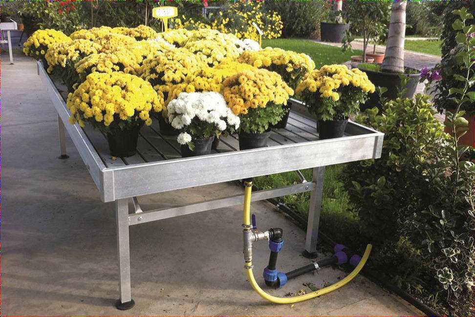 Орошение растений и цветов в садовом центре