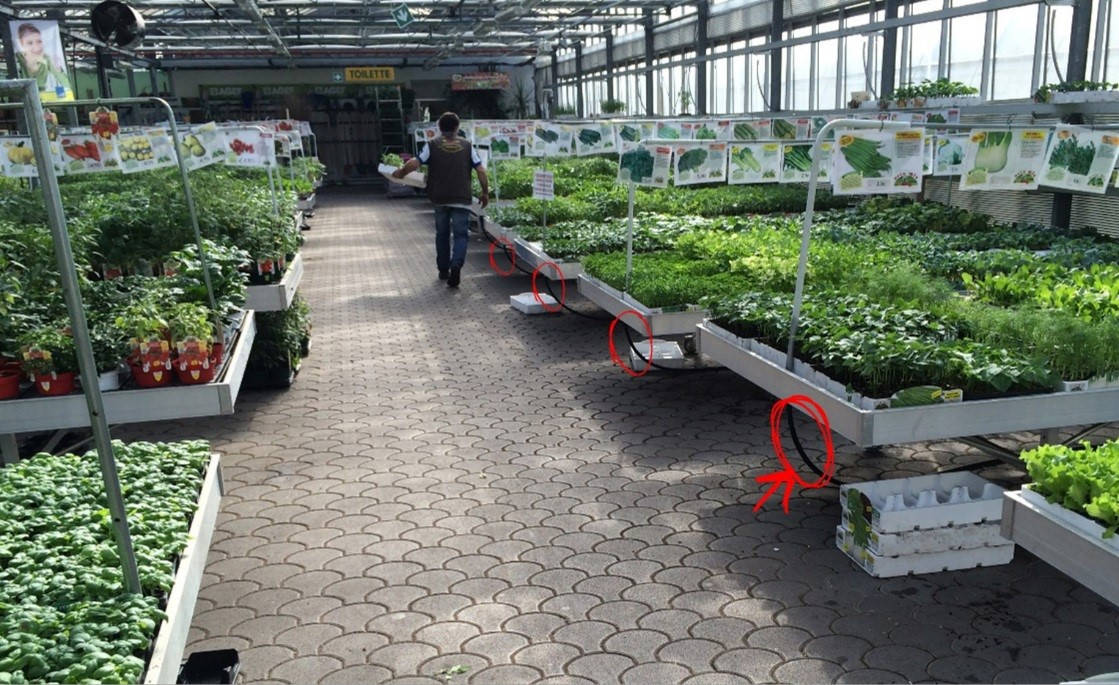 "чистый" Garden Center