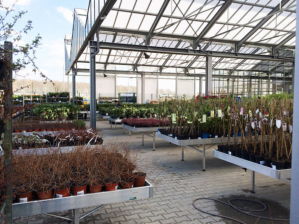 дин из секретов, для того, чтобы заработать в секторе Цветоводства