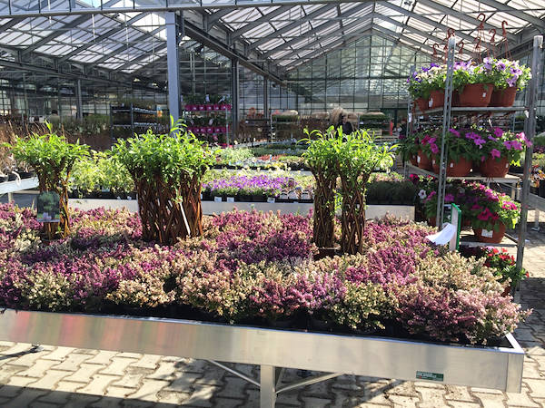 дин из секретов, для того, чтобы заработать в секторе Цветоводства