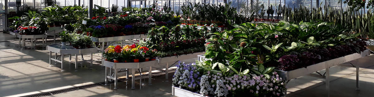 Размеры столов для экспозиции