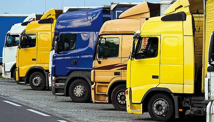 Логистическая деятельнось компании и доставка товара осуществляются на регулярной основе