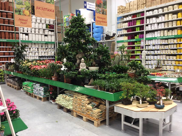 В Бауцентре открылся новый отдел цветов и растений