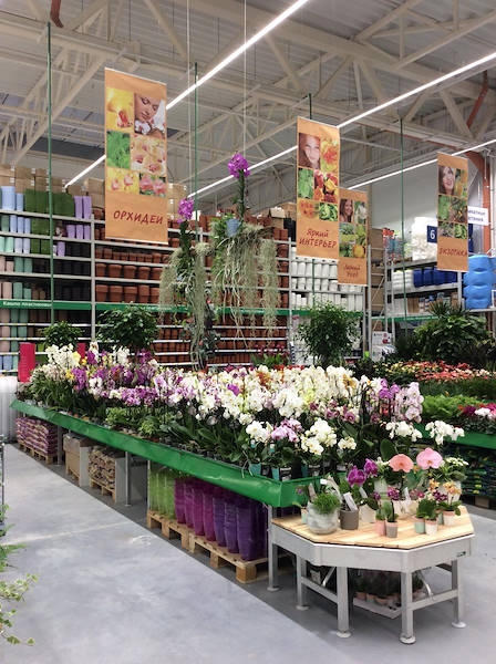 В Бауцентре открылся новый отдел цветов и растений