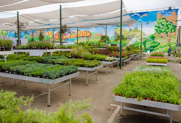 ВАШ САД, новый Садовый Центр в Одессе