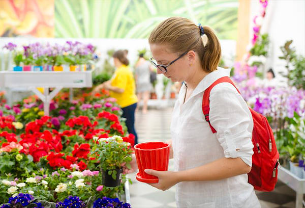 ВАШ САД, новый Садовый Центр в Одессе