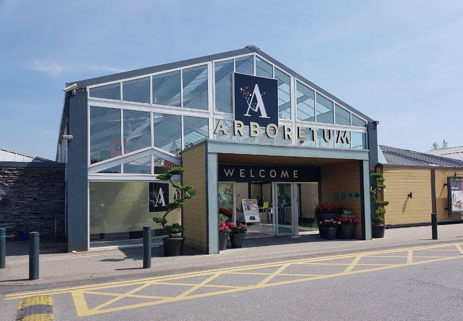 Дендрарий - рай для дома и сада