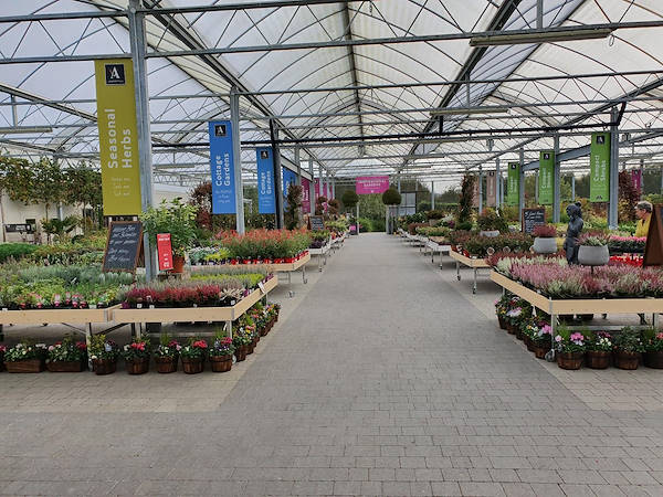 Дендрарий - рай для дома и сада