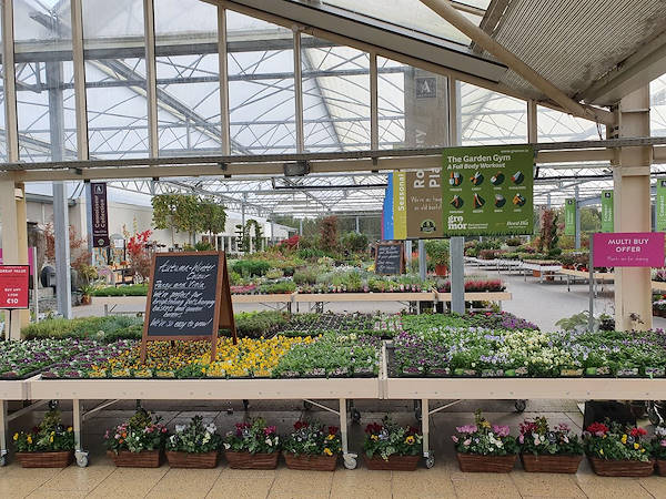 Дендрарий - рай для дома и сада