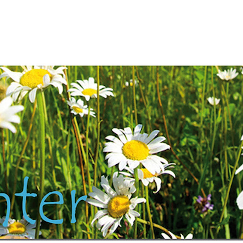 Стойка для графики для тележки Кабриолет