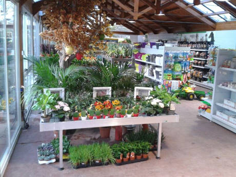 JARDIDEA, a new Garden Center close to Madrid, Spain