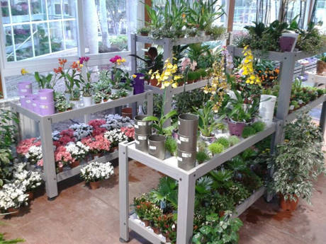 JARDIDEA, a new Garden Center close to Madrid, Spain