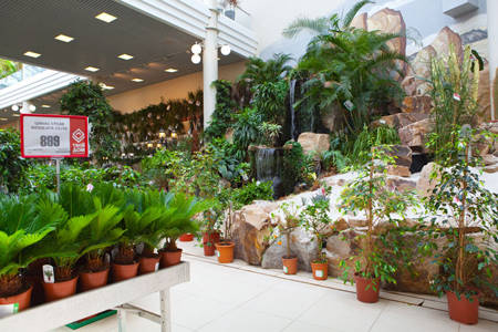 Supply for a Garden Center in Russia, TVOY DOM 
