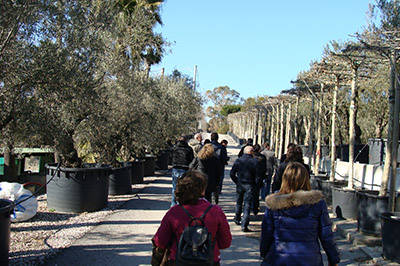 Held in Rome the Technical Workshop "Landscape Design"