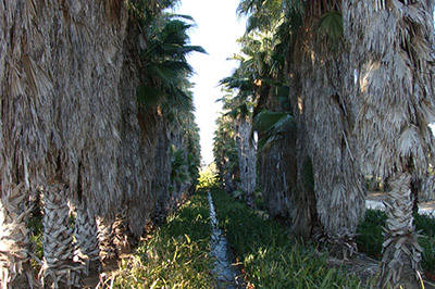 Held in Rome the Technical Workshop "Landscape Design"