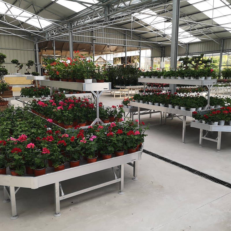 Набор ЦВЕТУЩАЯ ГОНДОЛА