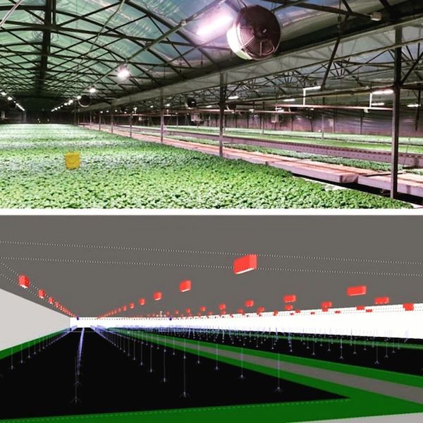 COMBO LED lights