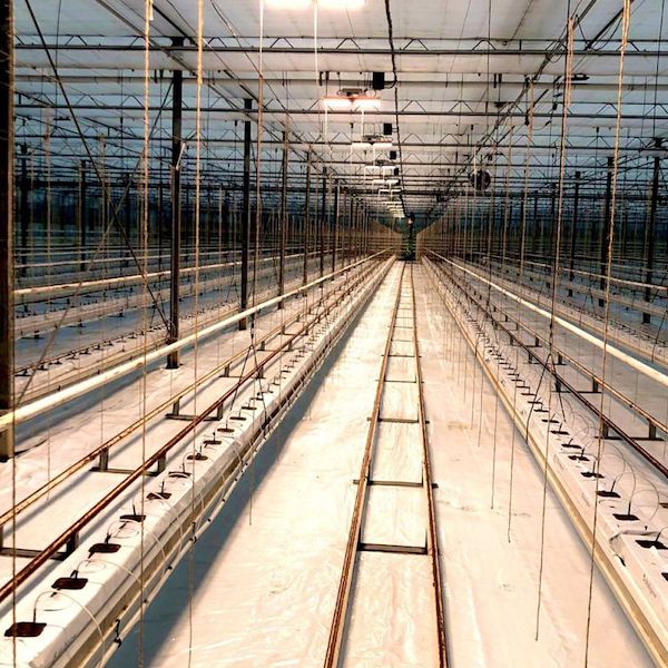 COMBO LED lights