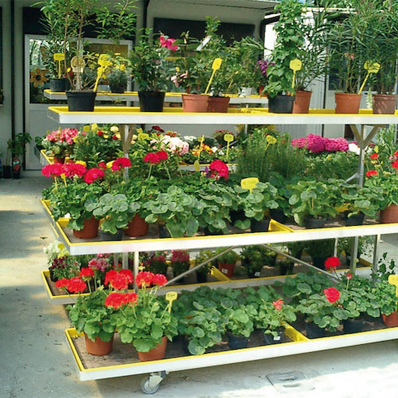 2 level wall display stand