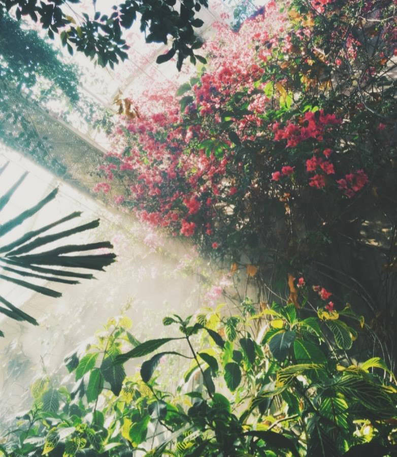 Тенденции Садоводства 2018 года - первая часть