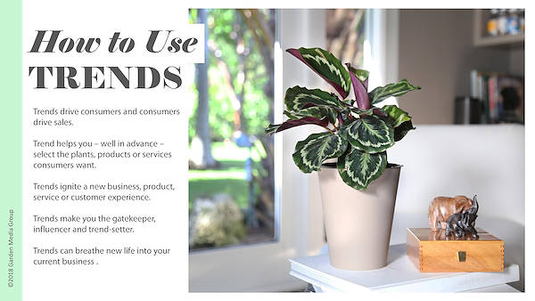 Pag 3 / 49 - GTR 2019