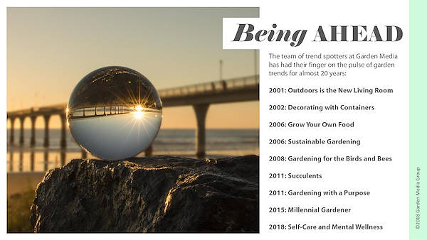 Pag 4 / 49 - GTR 2019