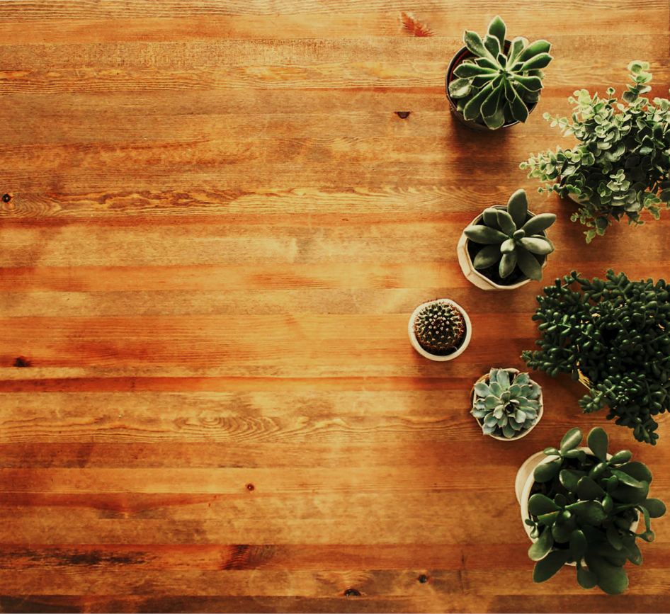 Mini Piante - Pag. 27