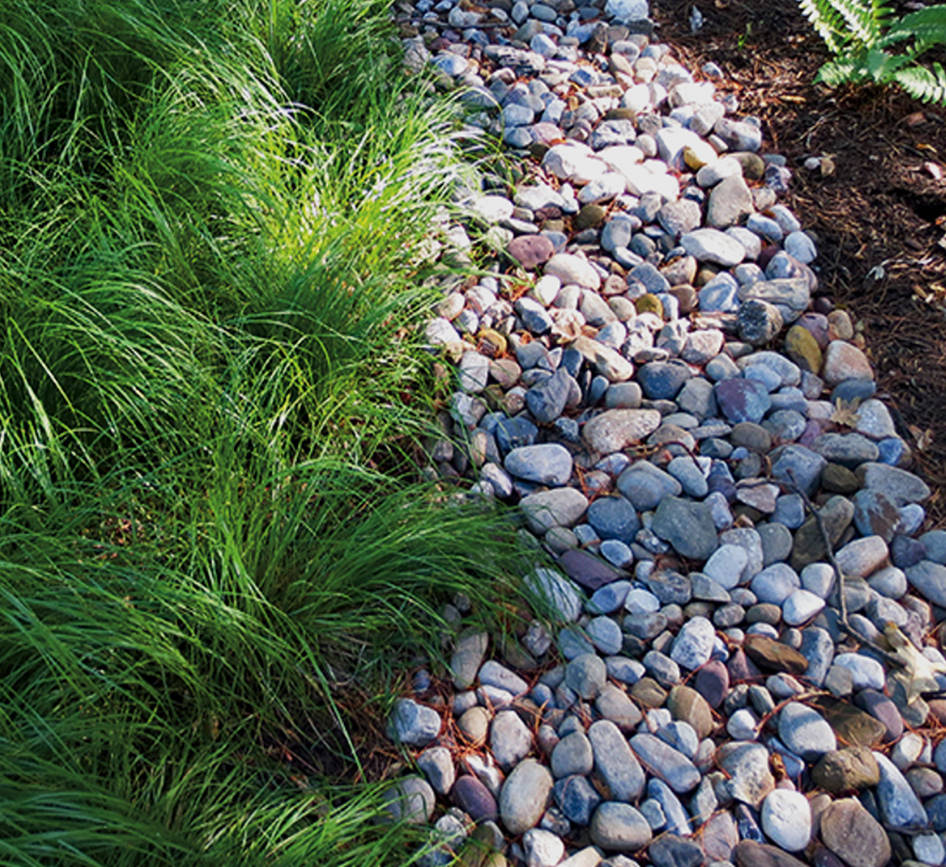 Design abundance- Pag. 31