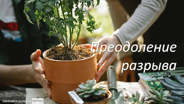 тенденциях в садовом секторе на 2022 год -  вторая часть